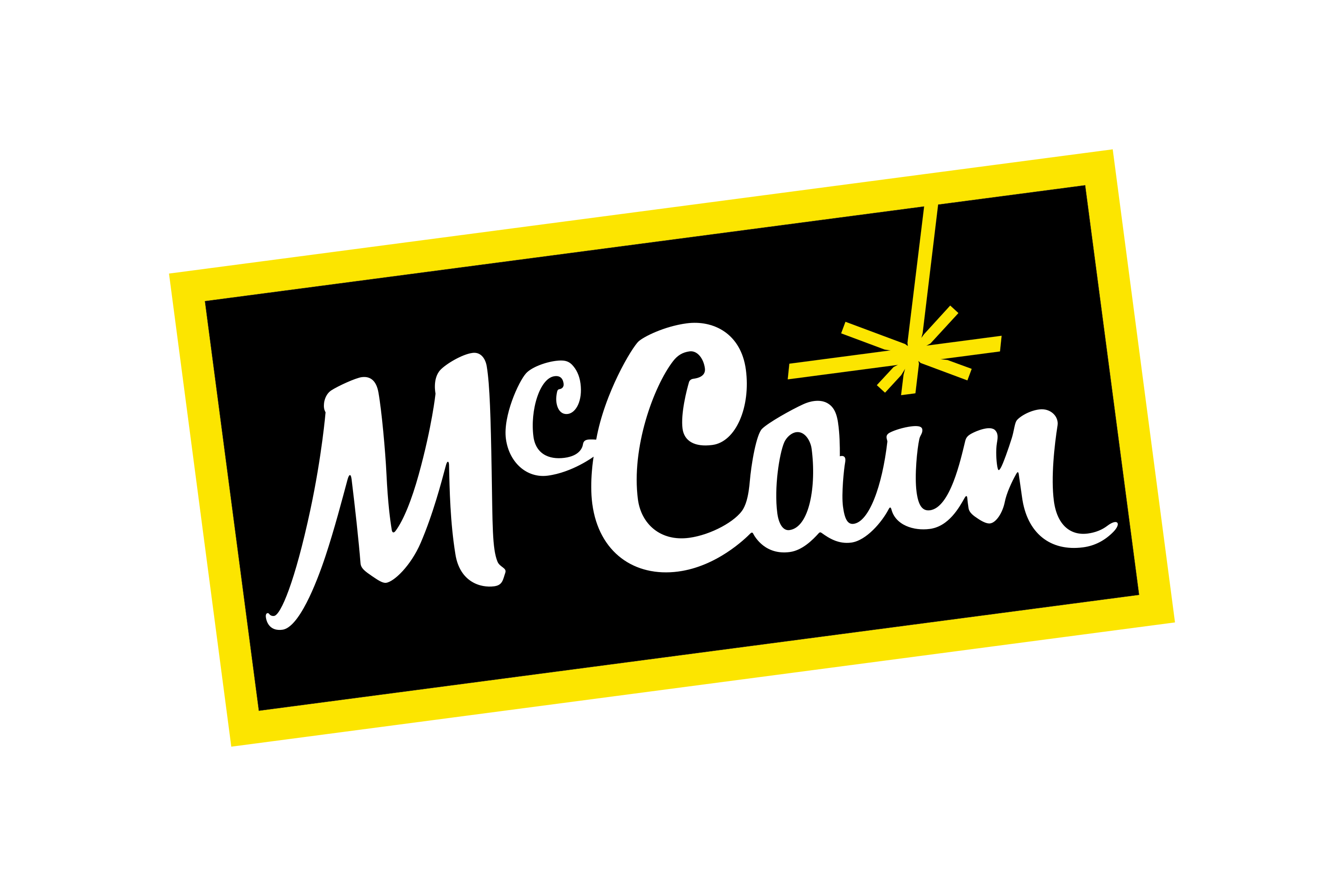 McCain_Foods-Logo.wine