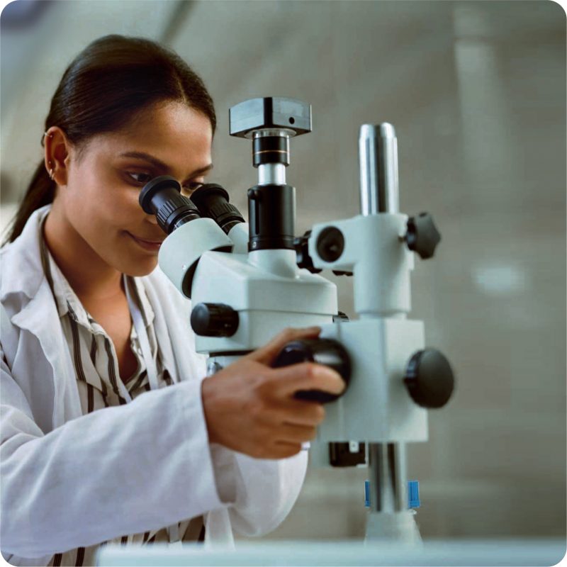 Lab
